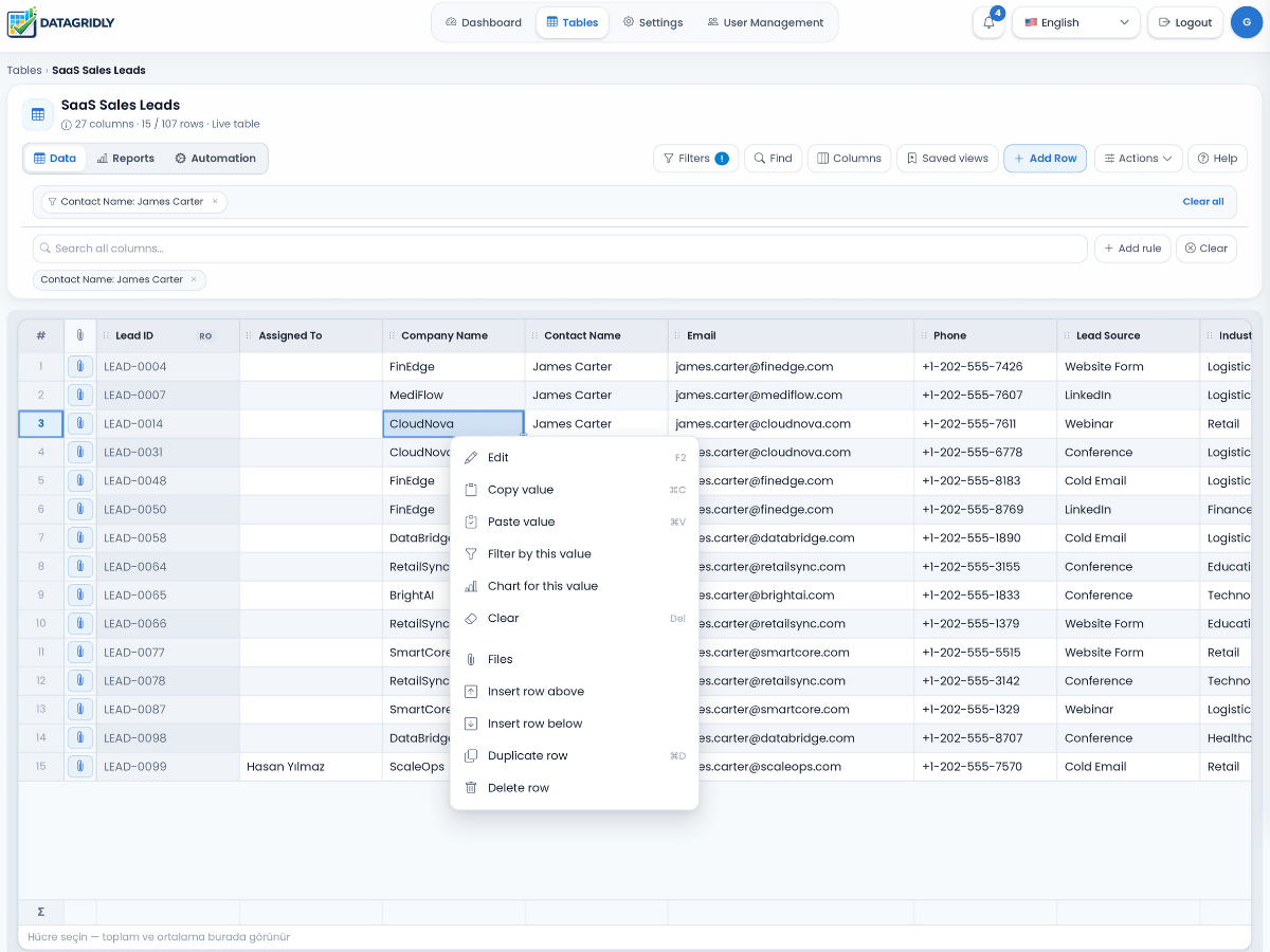 DataGridly AI analytics and automation